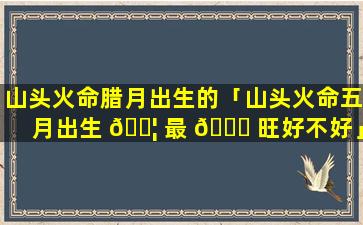 山头火命腊月出生的「山头火命五月出生 🐦 最 💐 旺好不好」